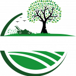 France Élagage Abattage - Moselle et Meurthe-et-Moselle